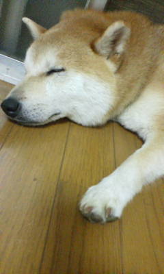 b0080342_214569.jpg