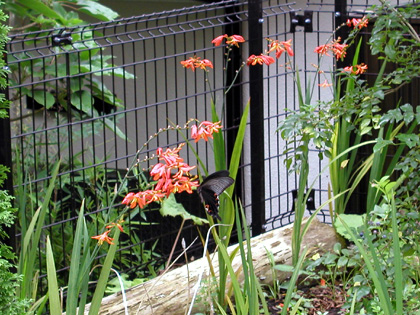 b0058448_20313790.jpg