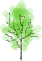 f0073750_1557860.gif