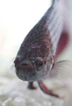 f0009457_065185.jpg