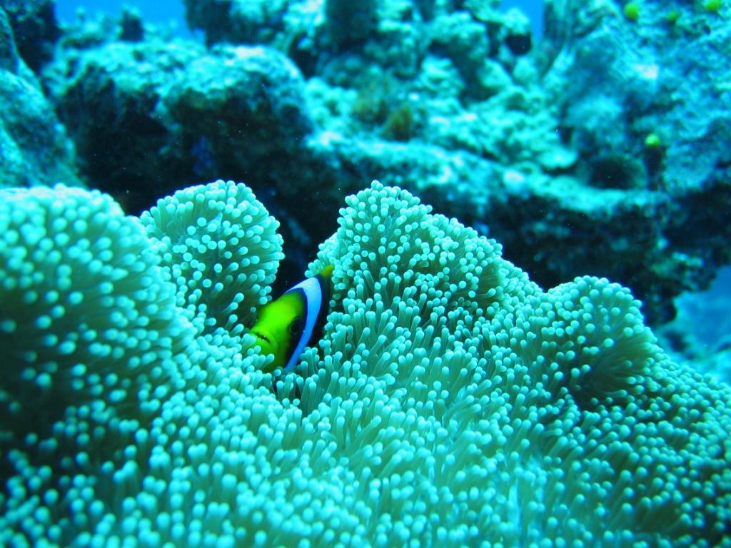 f0056757_113739.jpg