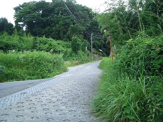 東海道中膝砕毛　１４日目（桑名宿～庄野宿）_f0011490_1047117.jpg