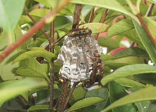 c0039501_20532270.jpg