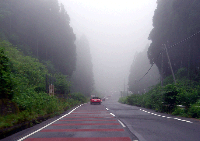e0063003_15293974.gif