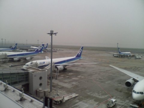 e0027711_92524.jpg
