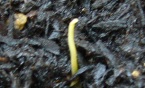 f0013029_9463318.jpg