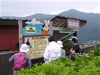 カチカチ山の紫陽花_f0019247_23244415.jpg