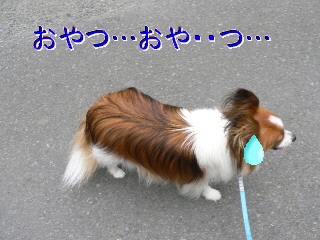 サマータイム？_d0013149_0155553.jpg