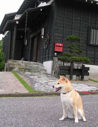 2006年7月12日(水)・・・蒸し暑いよ_f0060461_21201940.jpg