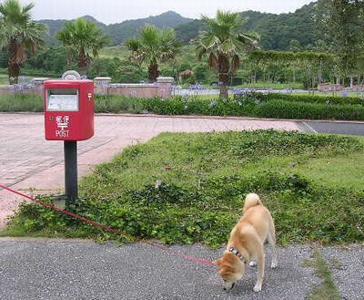 2006年7月12日(水)・・・蒸し暑いよ_f0060461_21223075.jpg