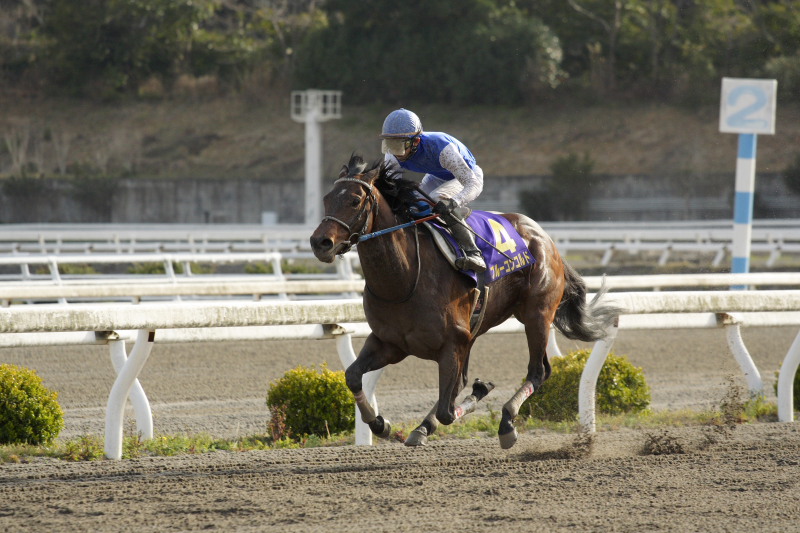 2006年3月20日（月） 高知競馬 農林水産大臣賞典 第9回 黒船賞ＧIII_a0077663_1742765.jpg