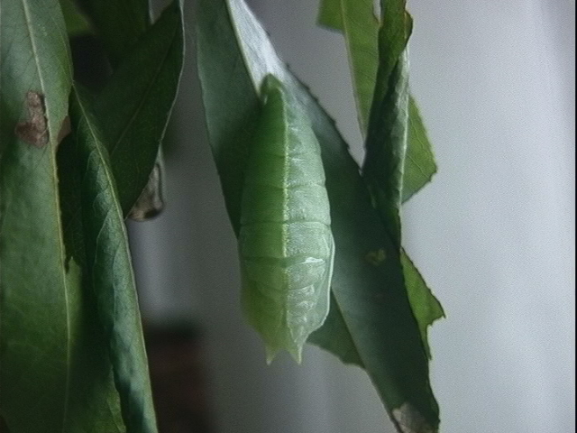 d0020180_18561864.jpg