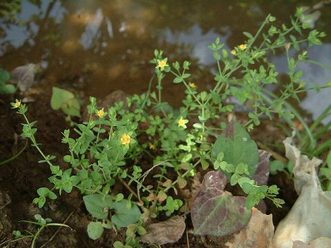 e0070891_20362653.jpg