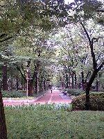 f0079996_11543469.jpg