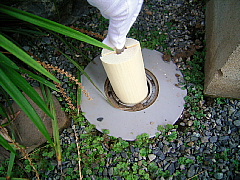 c0039501_166143.jpg