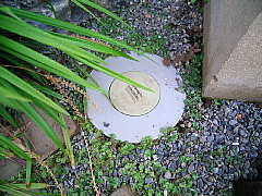 c0039501_1663355.jpg