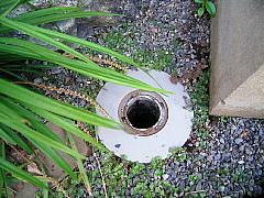 c0039501_166593.jpg