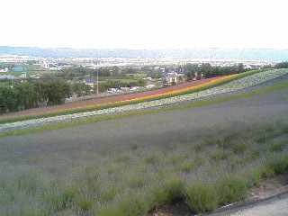 d0072903_2122312.jpg