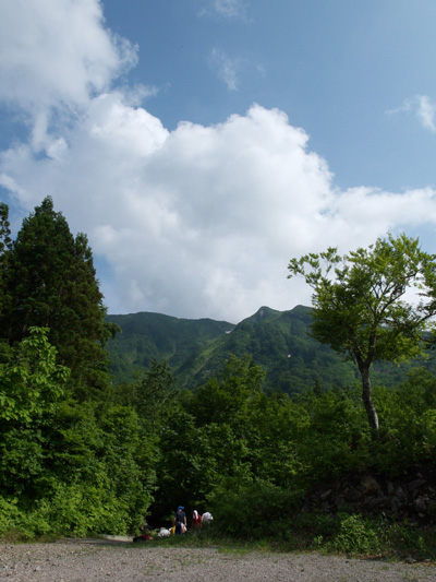 浅草岳のヒメサユリは_c0006928_6553672.jpg
