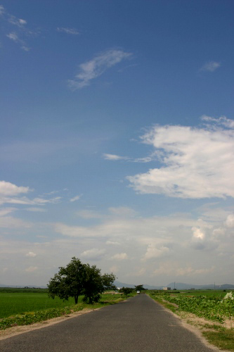 青い空、白い雲♪_d0067961_21325420.jpg