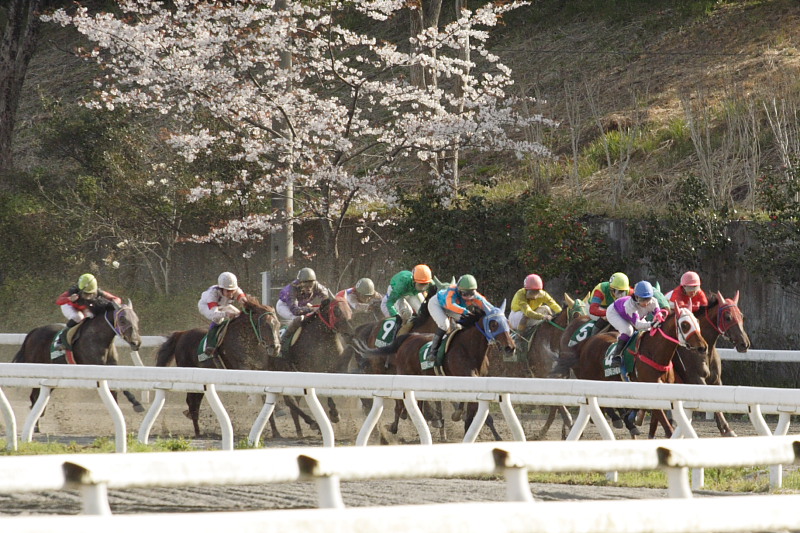 2006年3月20日(月) 高知競馬 第20回 全日本新人王争覇戦_a0077663_19273834.jpg