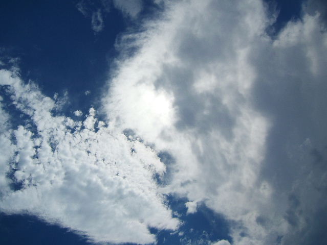 e0064227_2071687.jpg