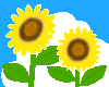a0070029_0311714.gif
