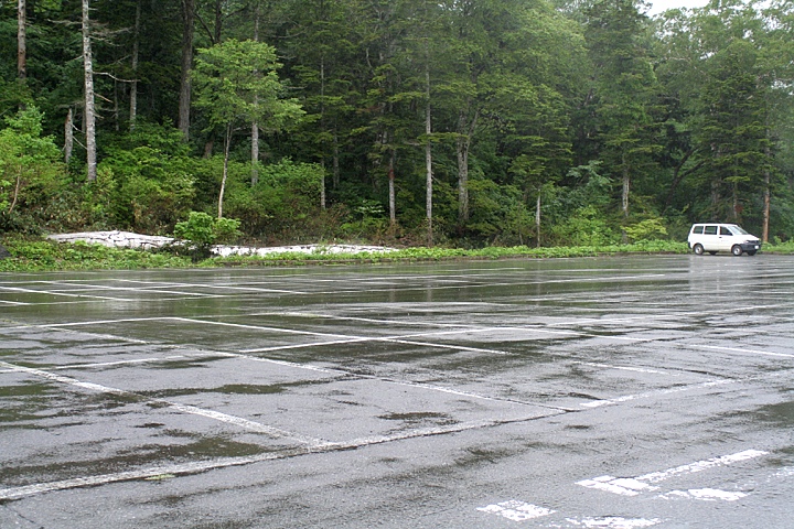 d0012134_00434.jpg