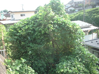 木工教室・作品・・その他_f0031037_17462169.jpg