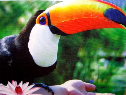 f0088839_0164720.jpg