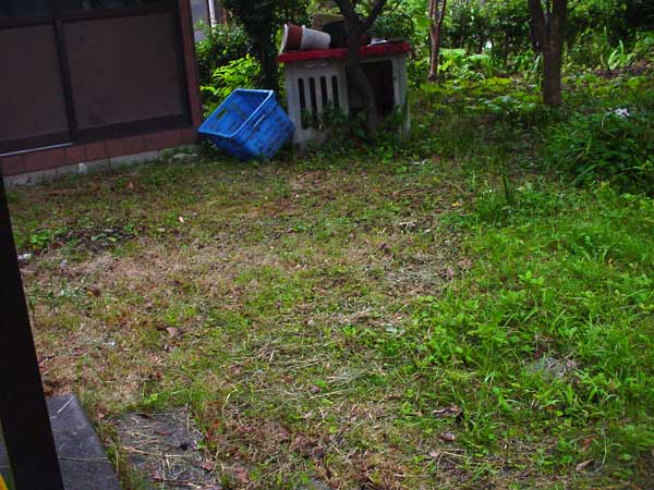 c0047341_18432258.jpg