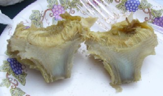 f0041447_55661.jpg