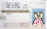 運転免許証の更新_b0022379_2273146.jpg