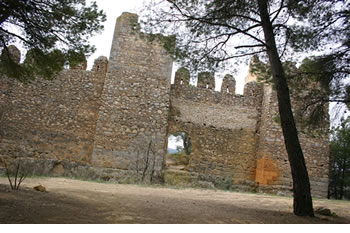 e0061699_75655.jpg