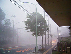 c0039501_13153463.jpg