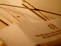 d0000247_1356142.gif