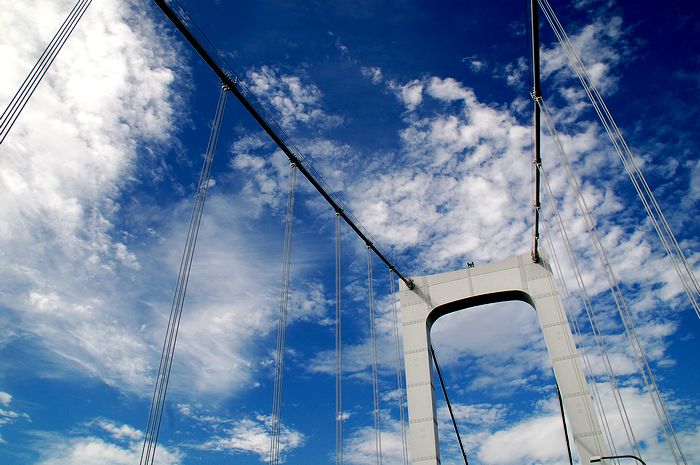 e0053660_815964.jpg
