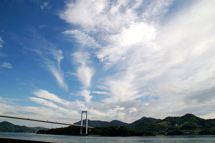 e0053660_8263155.jpg