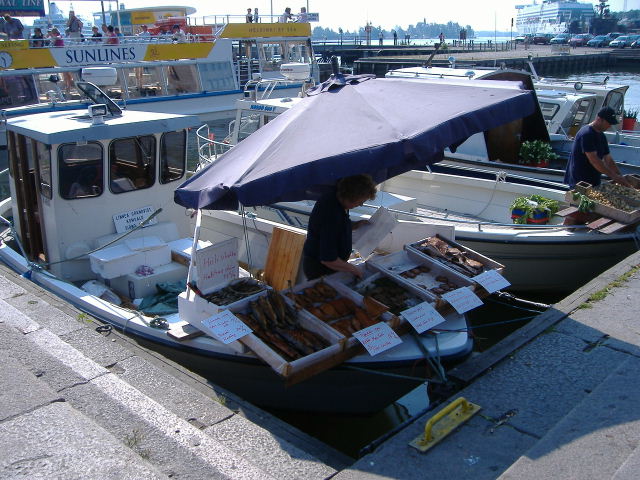 e0064166_816879.jpg