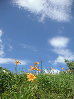 f0069775_021775.jpg