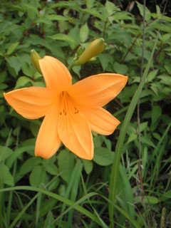 f0069775_074638.jpg