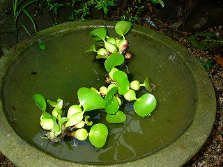 f0079111_18381976.jpg