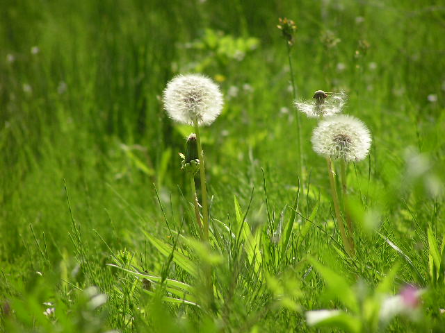 f0017530_20103450.jpg