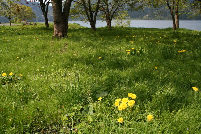 f0017530_2083442.jpg