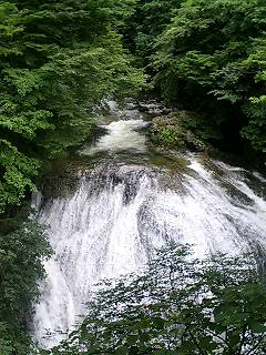 d0009833_20342574.jpg