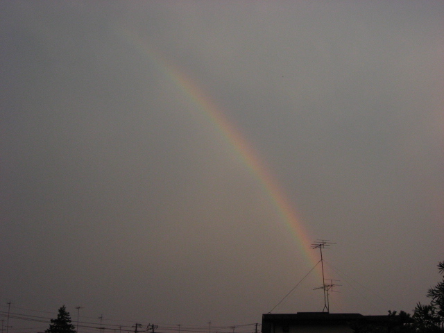 b0097747_96258.jpg