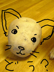 f0097456_0573137.jpg