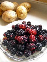 f0097456_172999.jpg