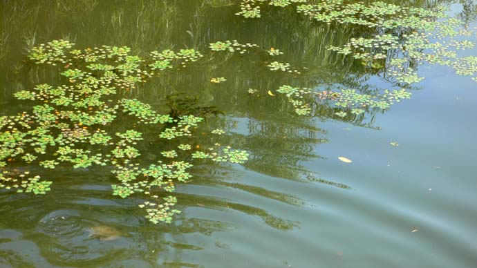 e0019563_053433.jpg