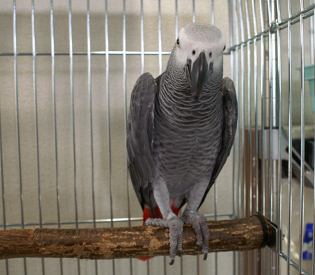 c0004078_23544451.jpg